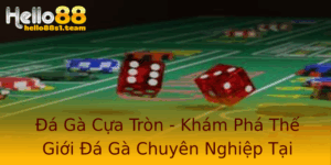 Đá Gà Cựa Tròn - Khám Phá Thế Giới Đá Gà Chuyên Nghiệp Tại Hello88 8 A Ga Cua Tron Kham Pha The Gioi A Ga Chuyen Nghiep Tai Hello88