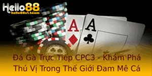 Đá Gà Trực Tiếp CPC3 - Khám Phá Thú Vị Trong Thế Giới Đam Mê Cá Cược 4 A Ga Truc Tiep Cpc3 Kham Pha Thu Vi Trong The Gioi Am Me Ca Cuoc