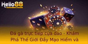 Đá gà trực tiếp cựa dao - Khám Phá Thế Giới Đầy Mạo Hiểm và Hồi Hộp 5 A Ga Truc Tiep Cua Dao Kham Pha The Gioi Ay Mao Hiem Va Hoi Hop