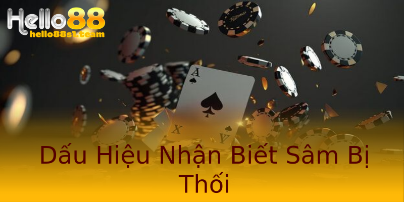 Dấu Hiệu Nhận Biết Sâm Bị Thối Dấu Hiệu Nhận Biết Sâm Bị Thối