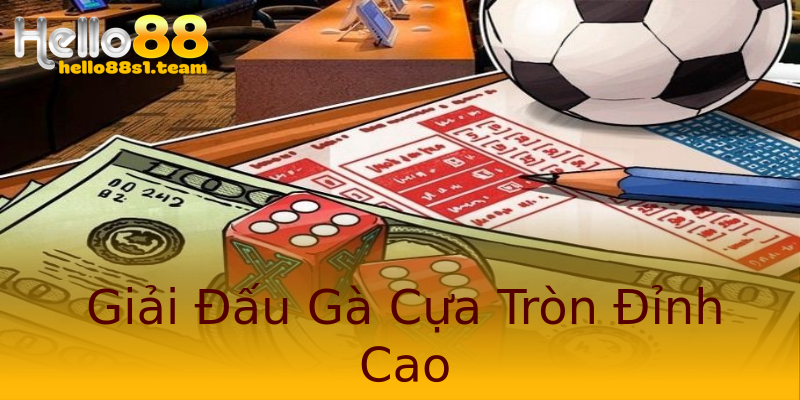 Giải Đấu Gà Cựa Tròn Đỉnh Cao Giải Đấu Gà Cựa Tròn Đỉnh Cao