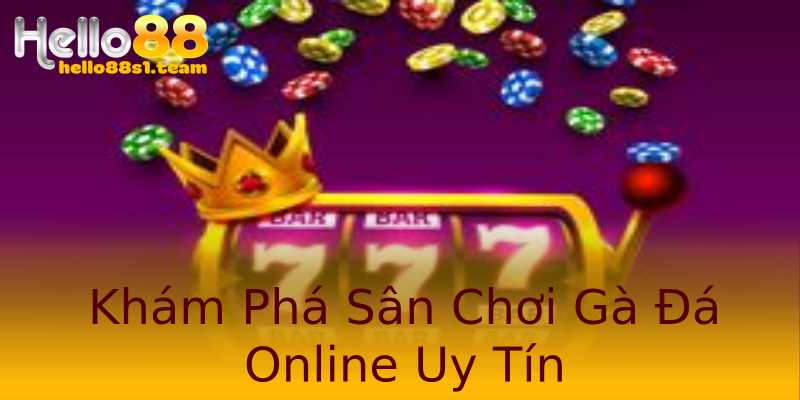 Khám Phá Sân Chơi Gà Đá Online Uy Tín Khám Phá Sân Chơi Gà Đá Online Uy Tín
