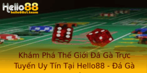 Khám Phá Thế Giới Đá Gà Trực Tuyến Uy Tín Tại Hello88 - Đá Gà Trực Tiếp 67 3 Kham Pha The Gioi A Ga Truc Tuyen Uy Tin Tai Hello88 A Ga Truc Tiep 67