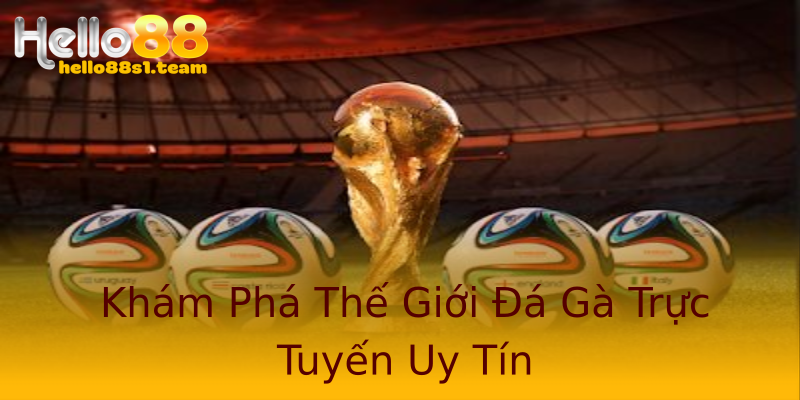 Khám Phá Thế Giới Đá Gà Trực Tuyến Uy Tín Khám Phá Thế Giới Đá Gà Trực Tuyến Uy Tín