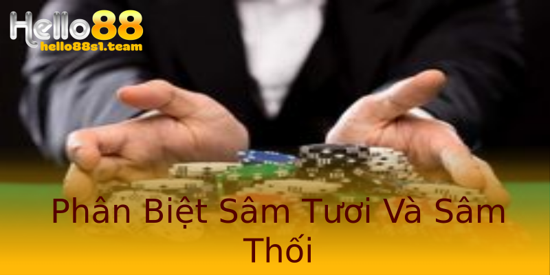 Phân Biệt Sâm Tươi Và Sâm Thối Phân Biệt Sâm Tươi Và Sâm Thối