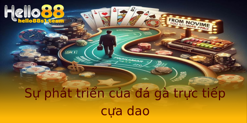 Sự phát triển của đá gà trực tiếp cựa dao Sự phát triển của đá gà trực tiếp cựa dao