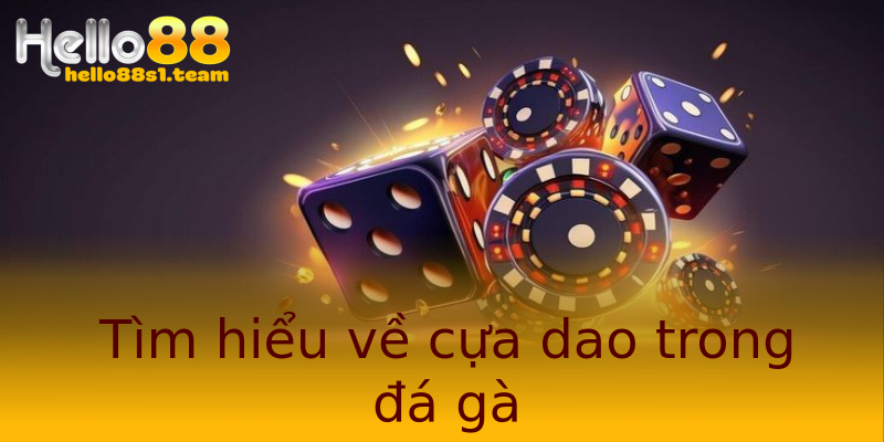 Tìm hiểu về cựa dao trong đá gà Tìm hiểu về cựa dao trong đá gà