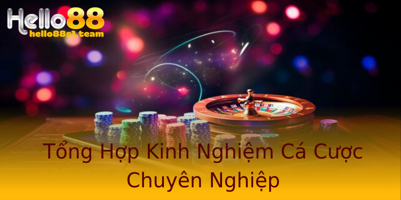Tổng Hợp Kinh Nghiệm Cá Cược Chuyên Nghiệp Tổng Hợp Kinh Nghiệm Cá Cược Chuyên Nghiệp